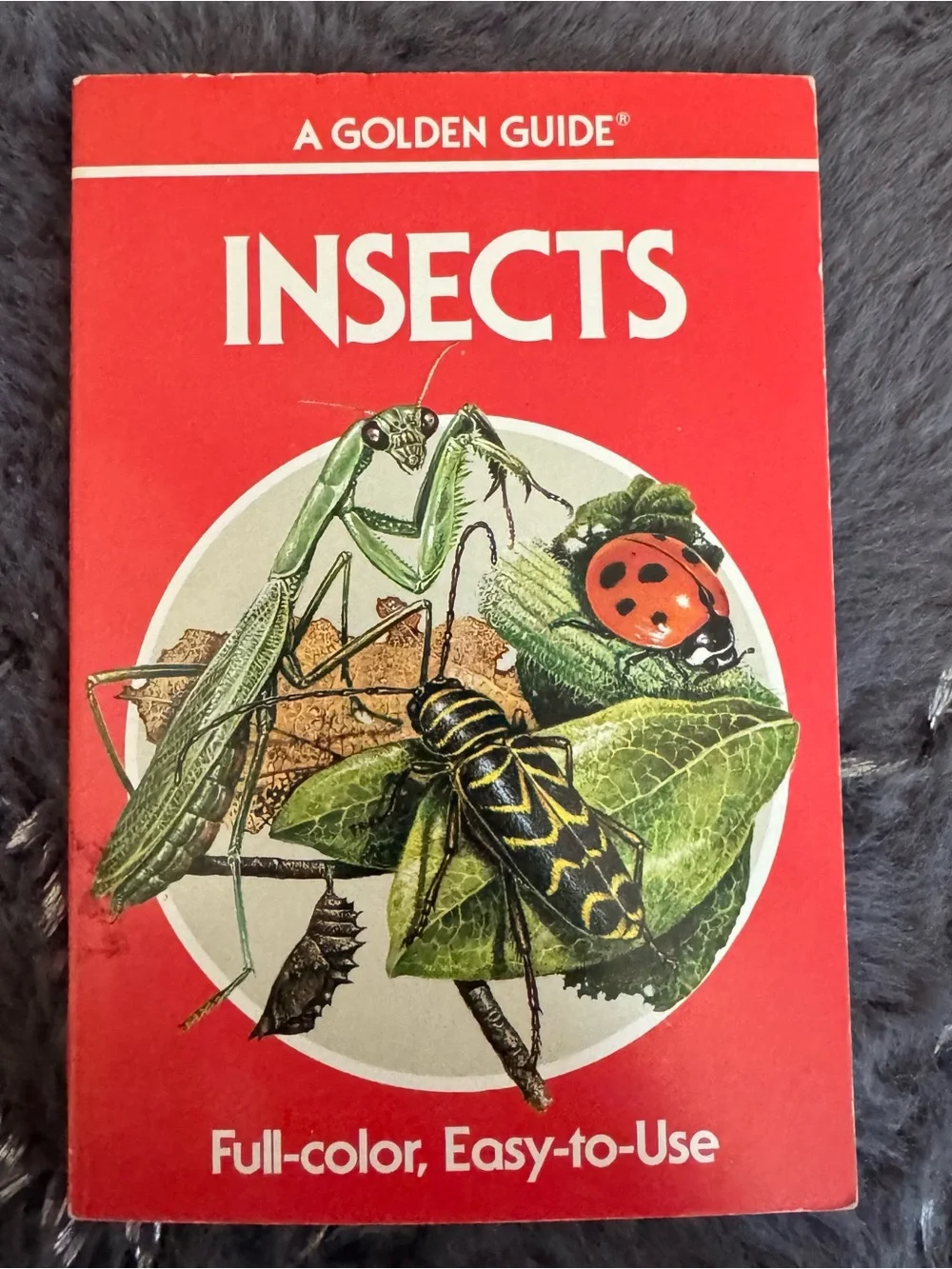 1987 Insects Guide Book Vintage Paperback